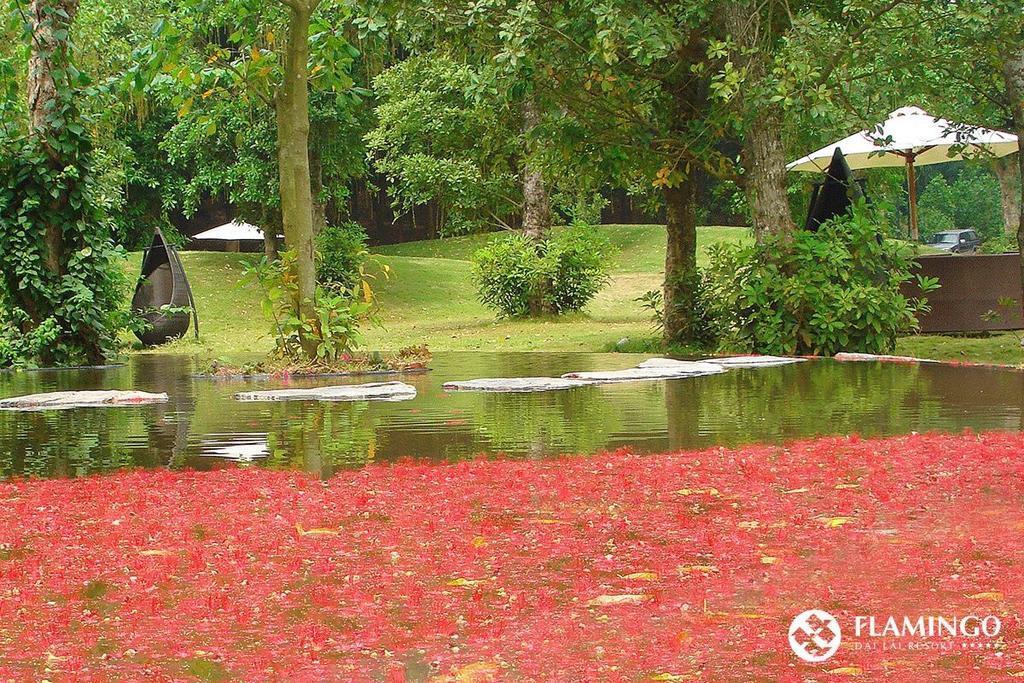 Flamingos Villa Happy Bt Ngoc Quang Exteriör bild